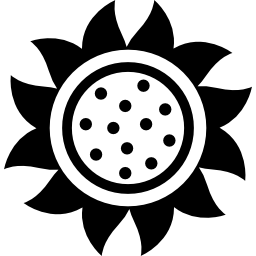 Beyaz Ayçekirdeği